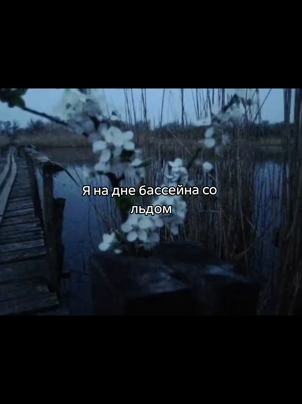 @ссвитиблисс