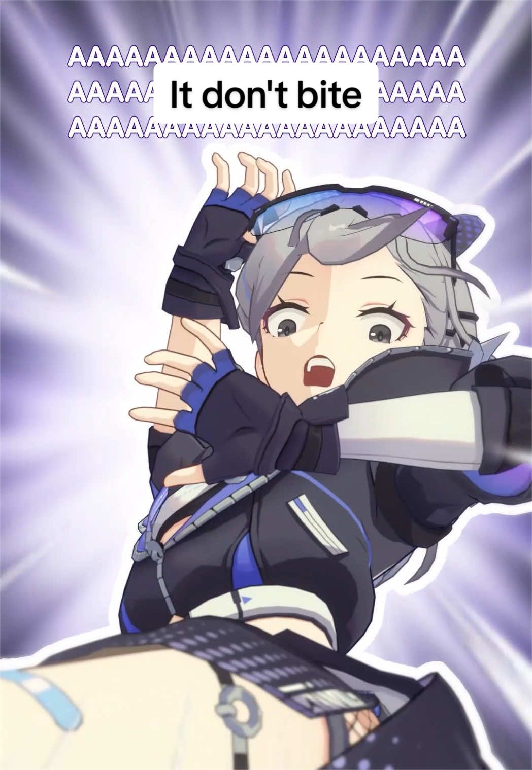 @shiroanii