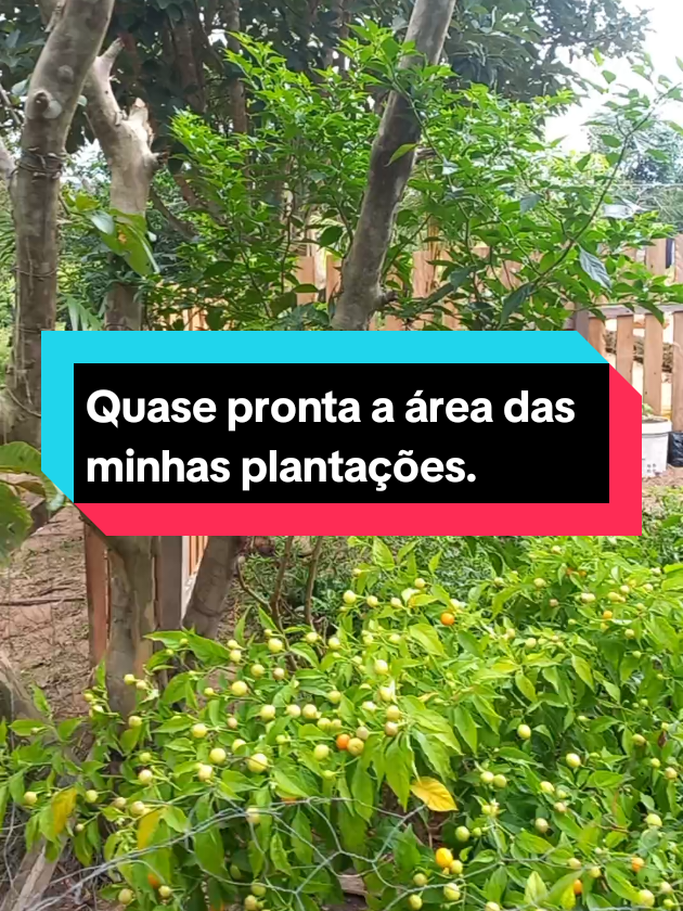 @menina do interior
