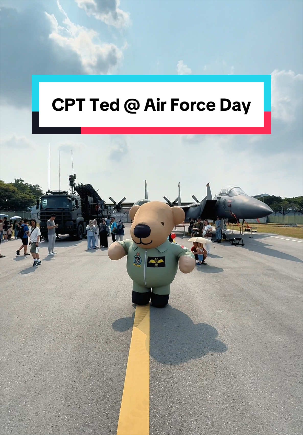@TheRSAF