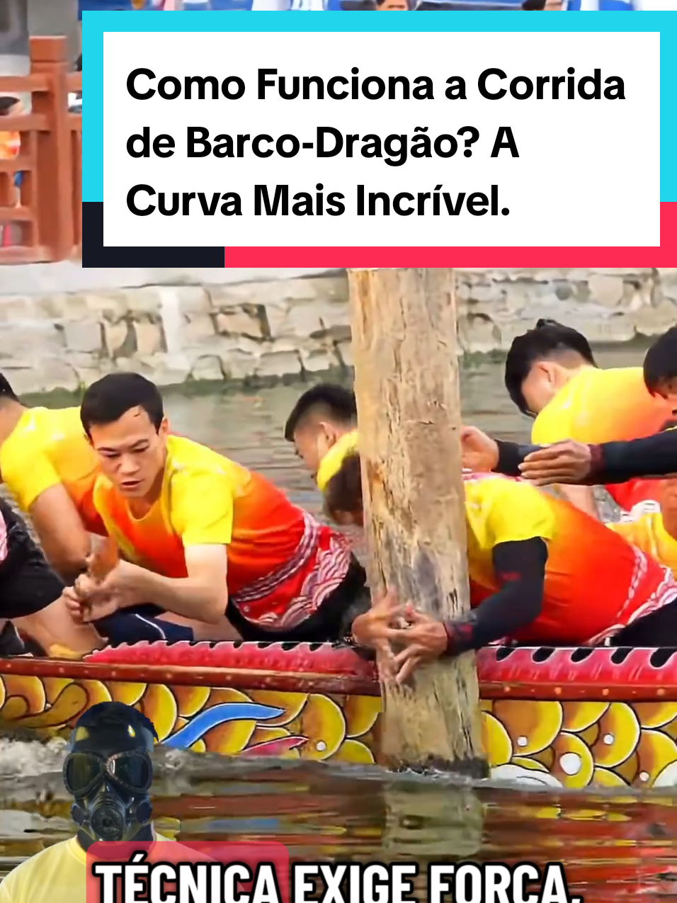 @Mundo da Curiosidades
