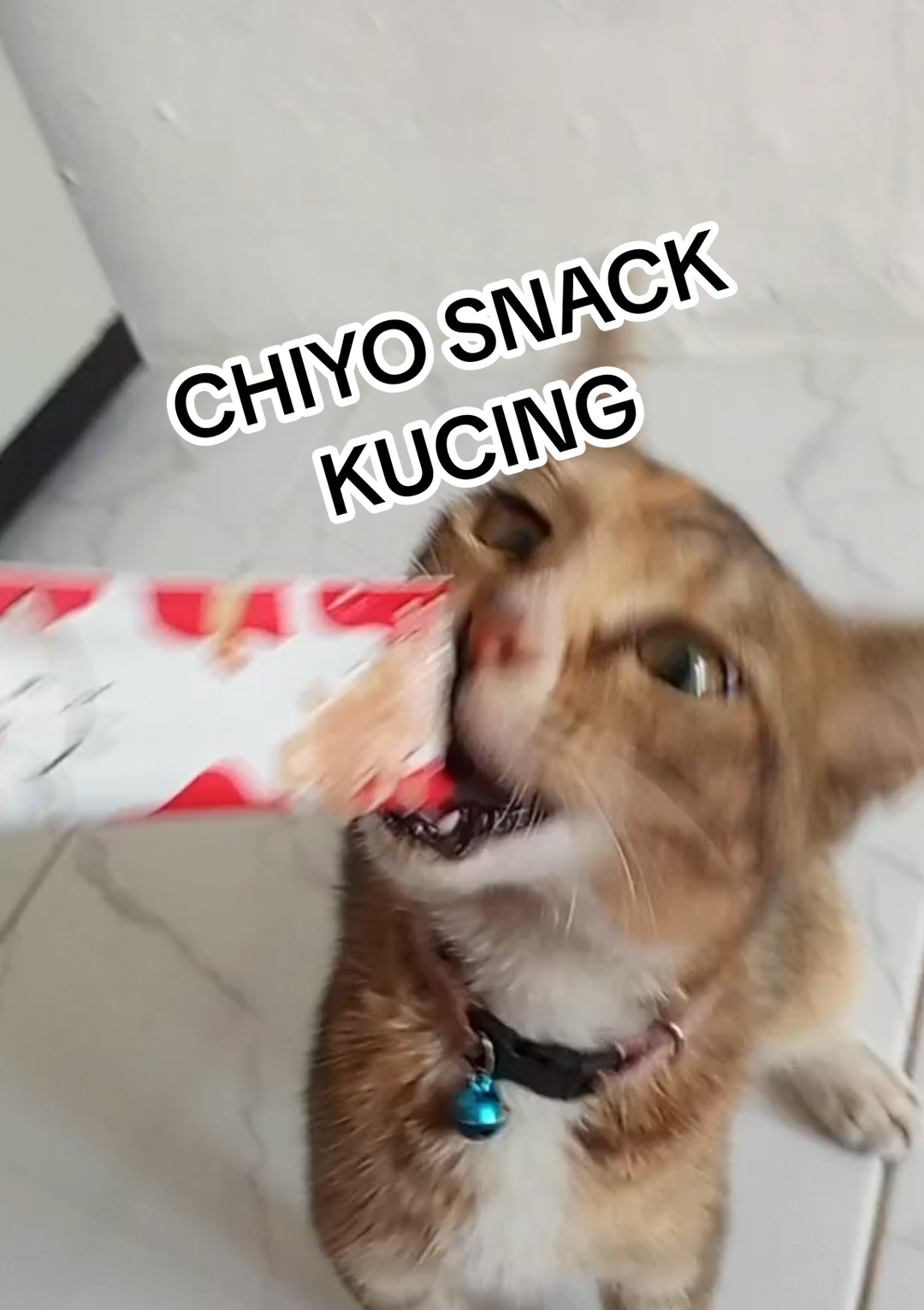 @Vaulvah