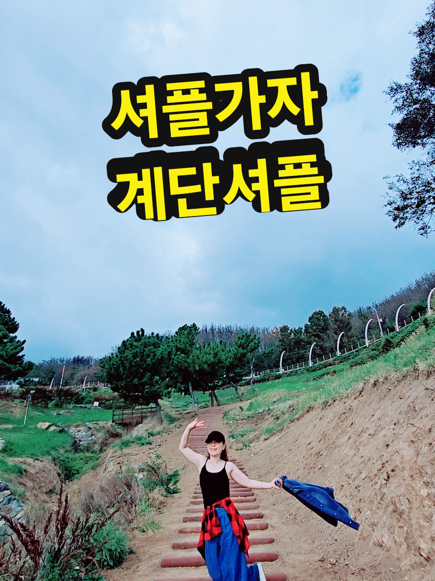 @틱톡왕비