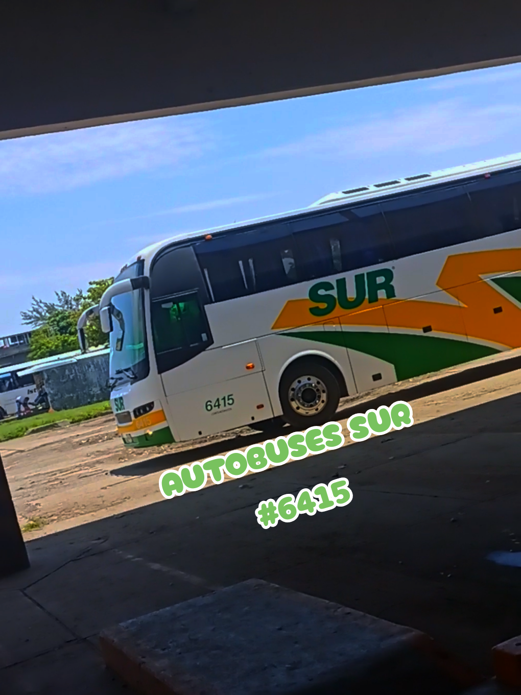 @Busologia Veracruzana 🍀🚍