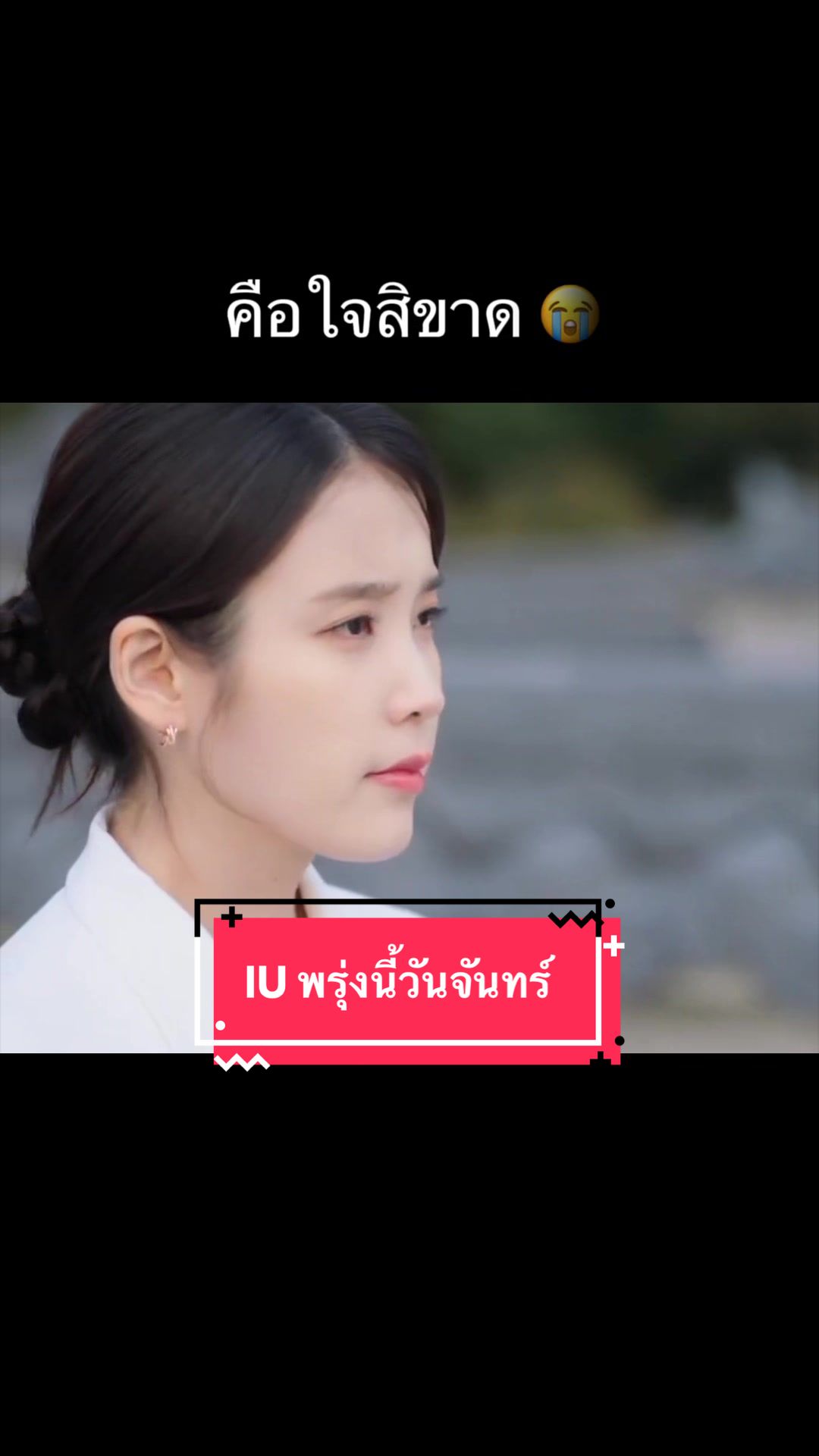 @noomtech