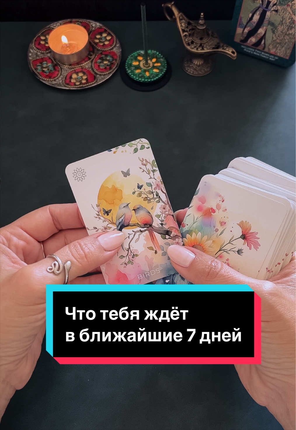 @Таролла