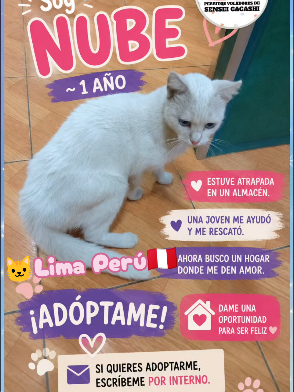 @Perritos Voladores