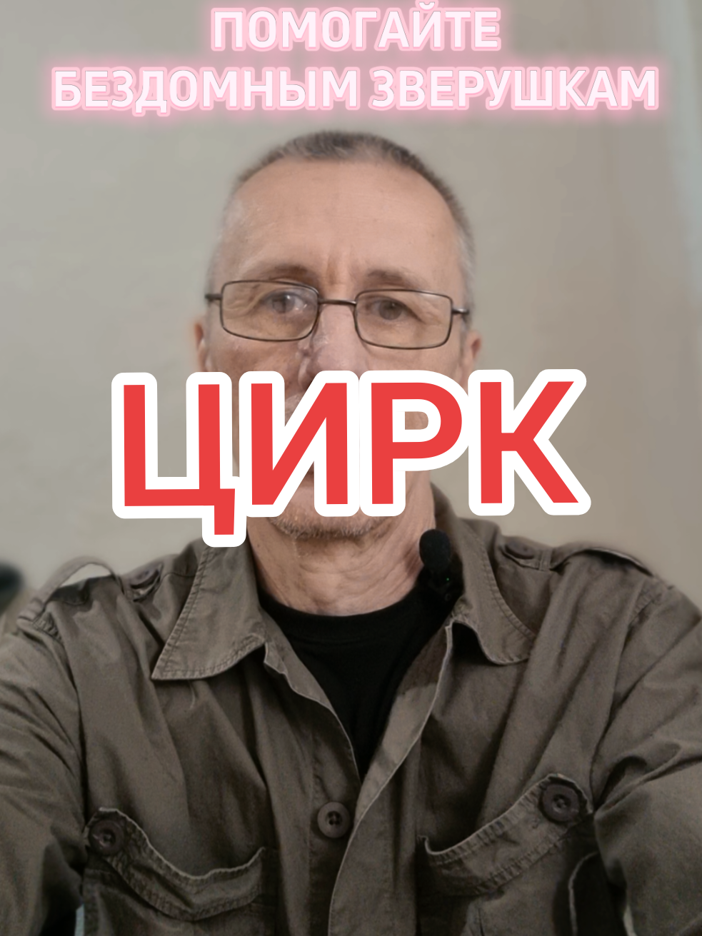 @КОТЫ СОБАКИ И ФИЛОСОФ