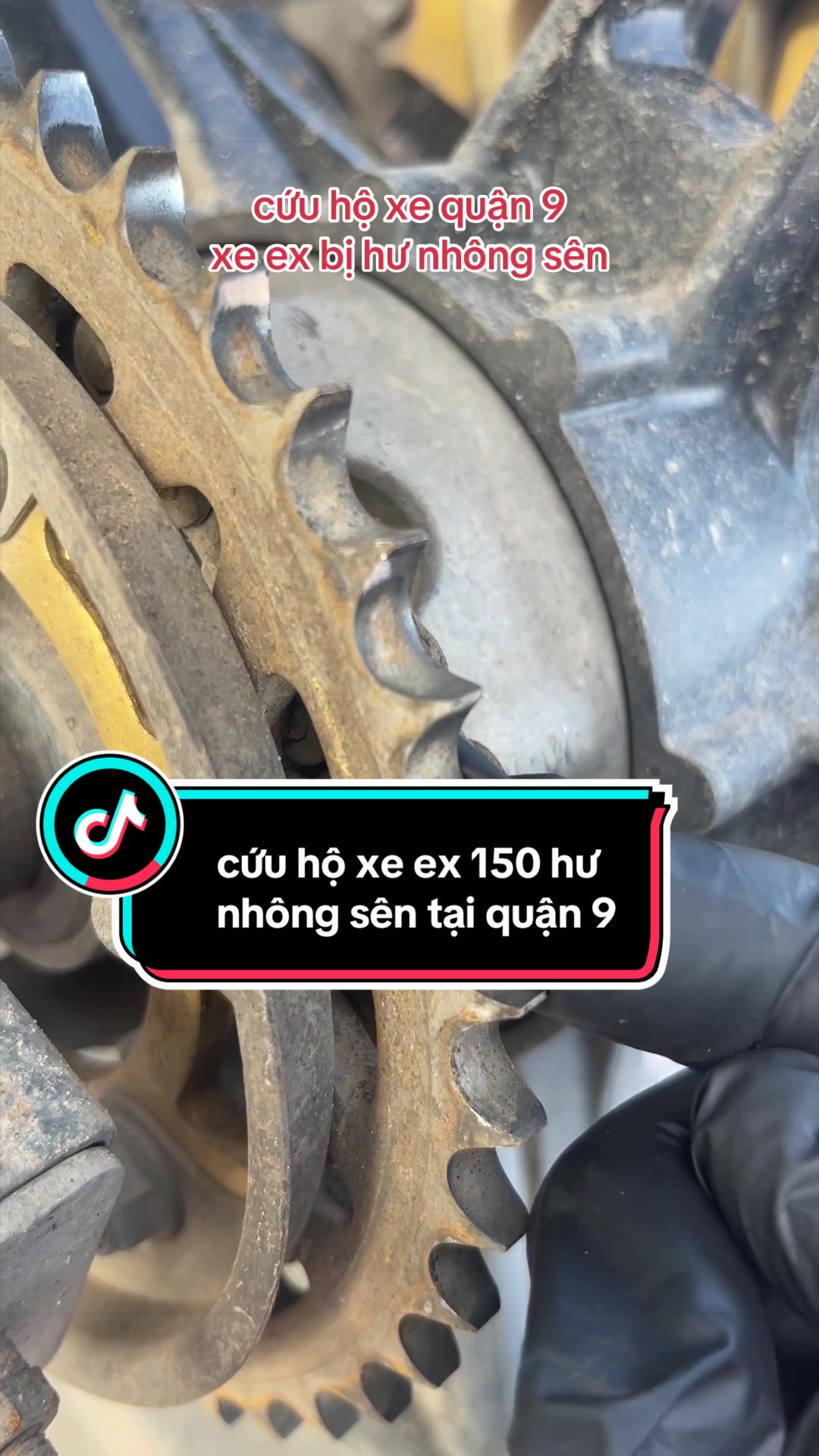 @Tiến racing shop quận9