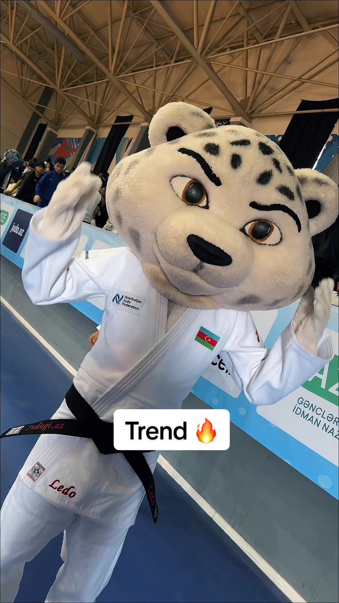@Azerbaijan Judo Federation
