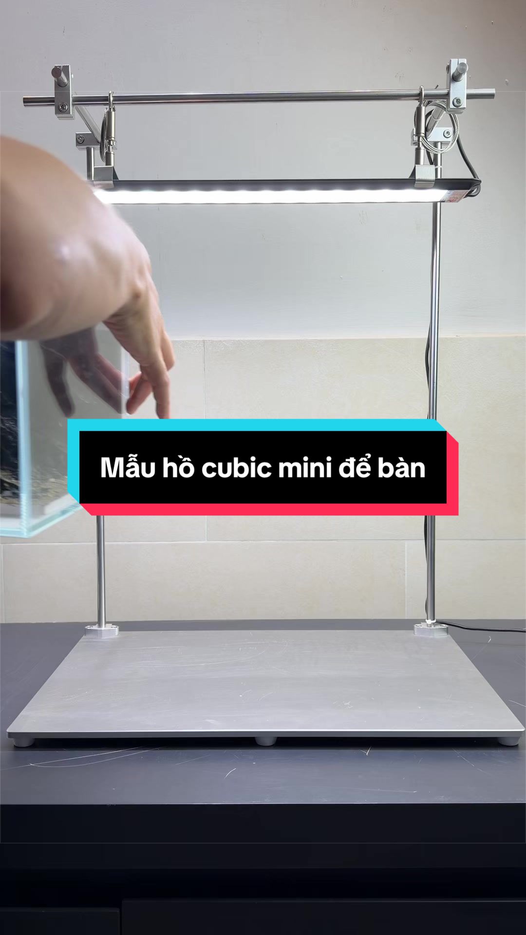 @BachPhiAquascape