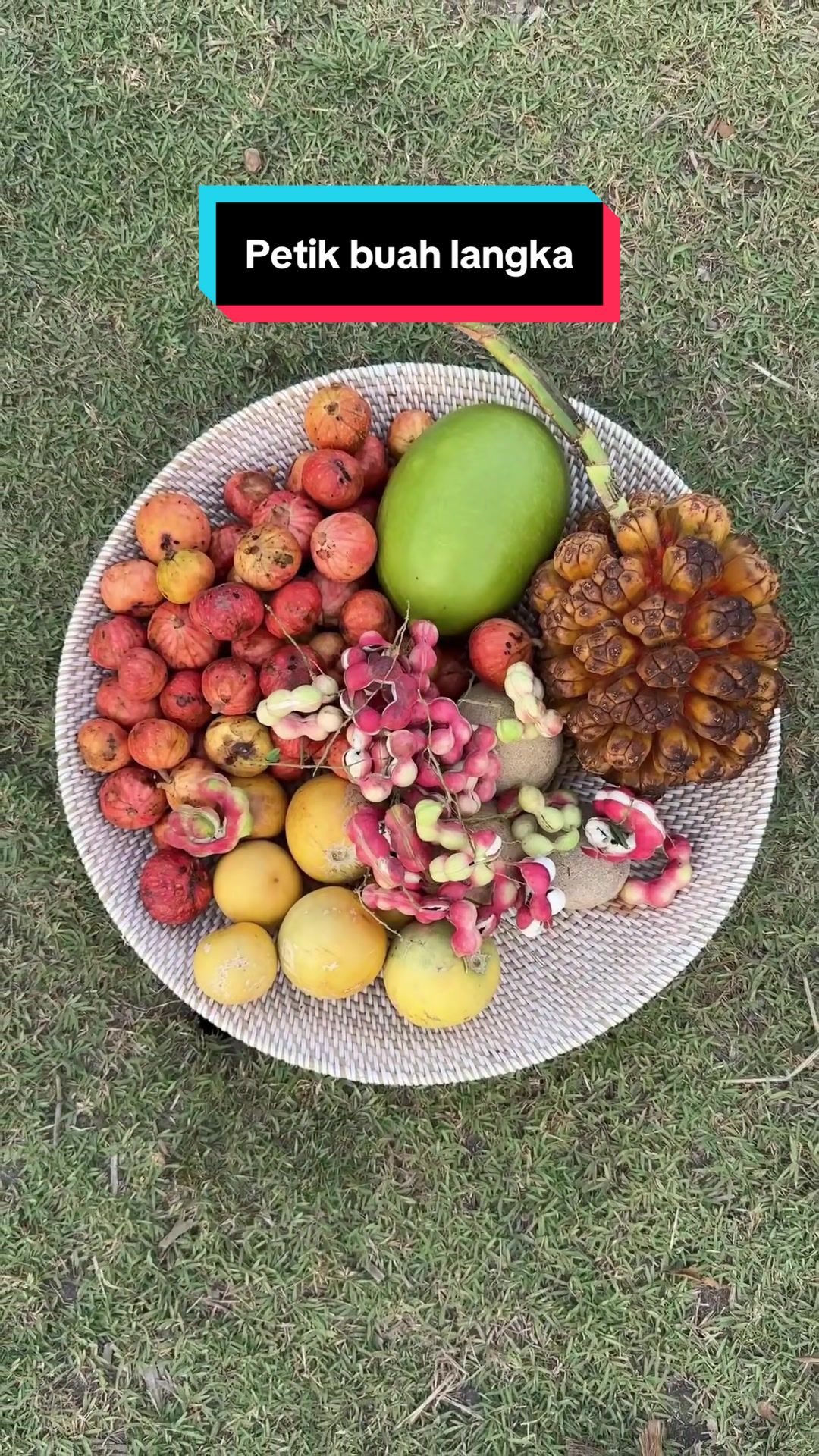 @Sulastri Mayani