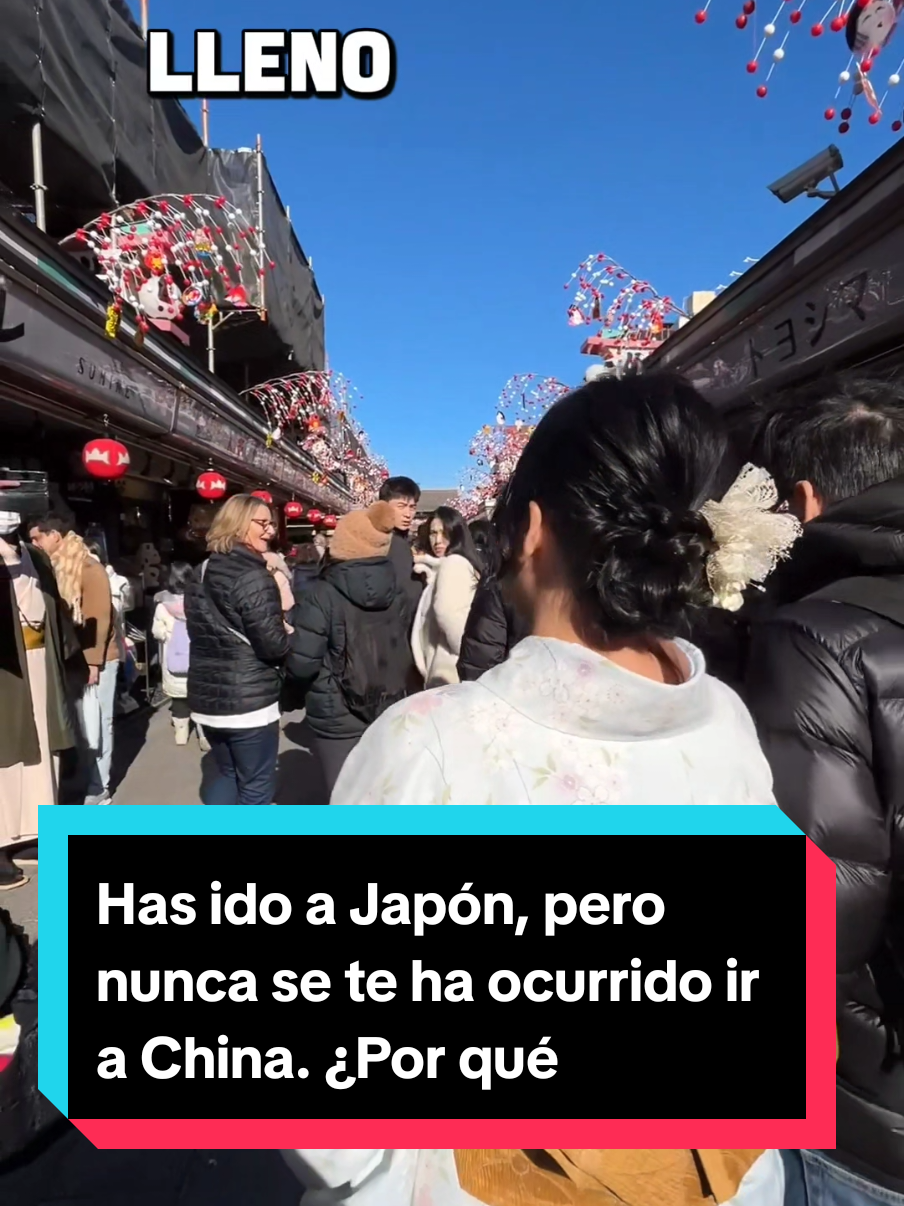 @Lindo Loto 🪷