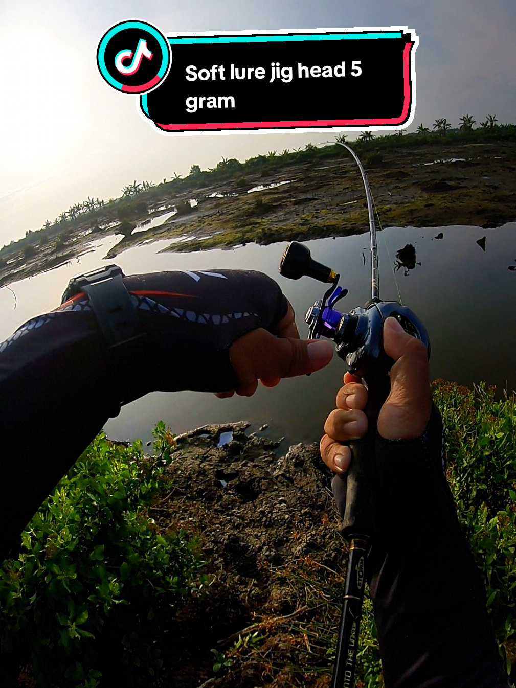 @Miyank Angler