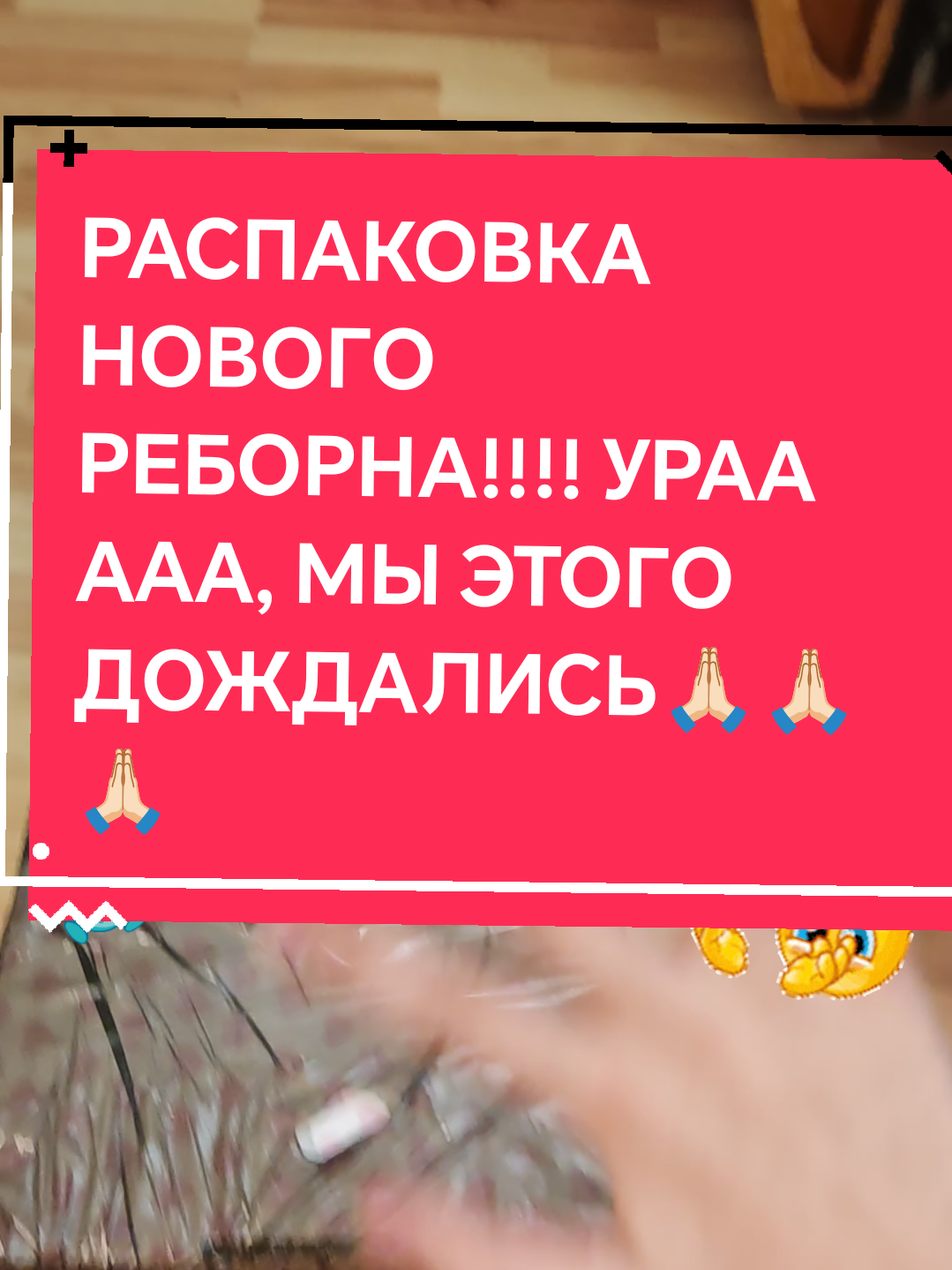 @🐝𝕊𝕒𝕧.𝕒._𝕣𝕖𝕓𝕠𝕣𝕟.𝕤🦕