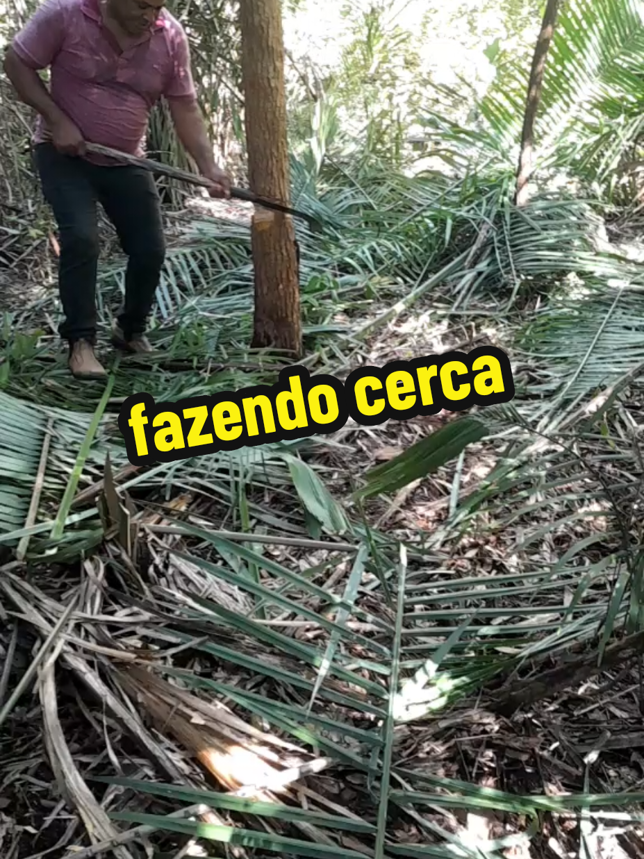 @Valmir viana u bom de mulher