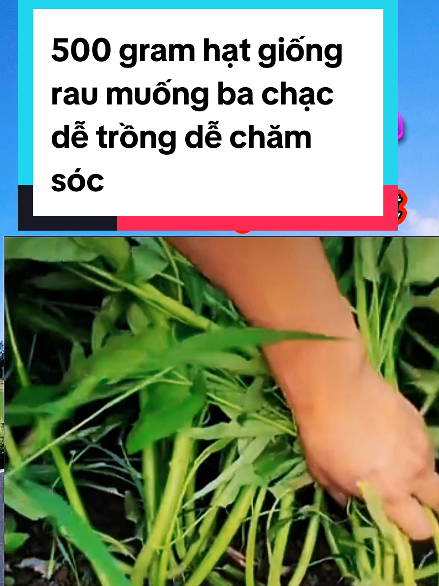 @@1Huyền Nguyễn