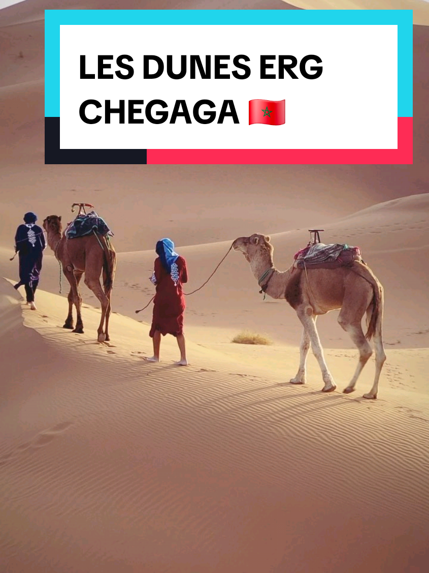 @ElMarocain