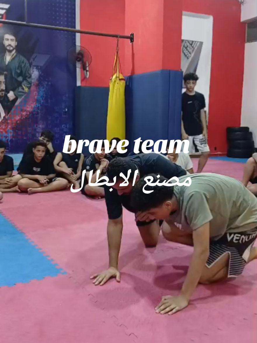 @Brave Team