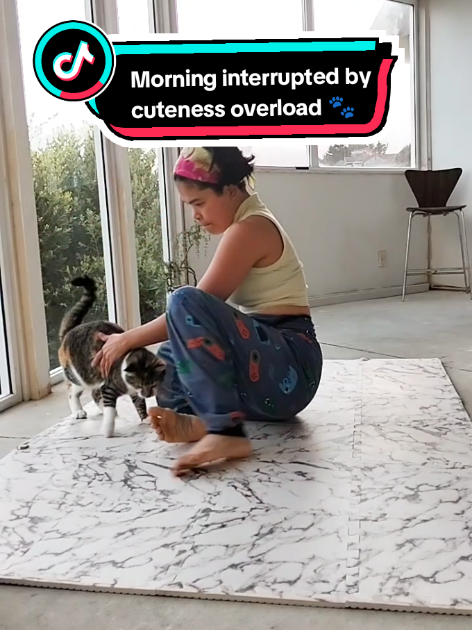 @SuperMumRho
