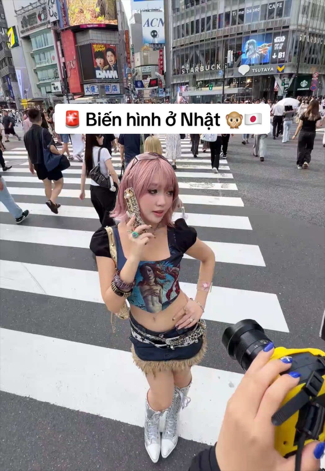 @Chloe Nguyen