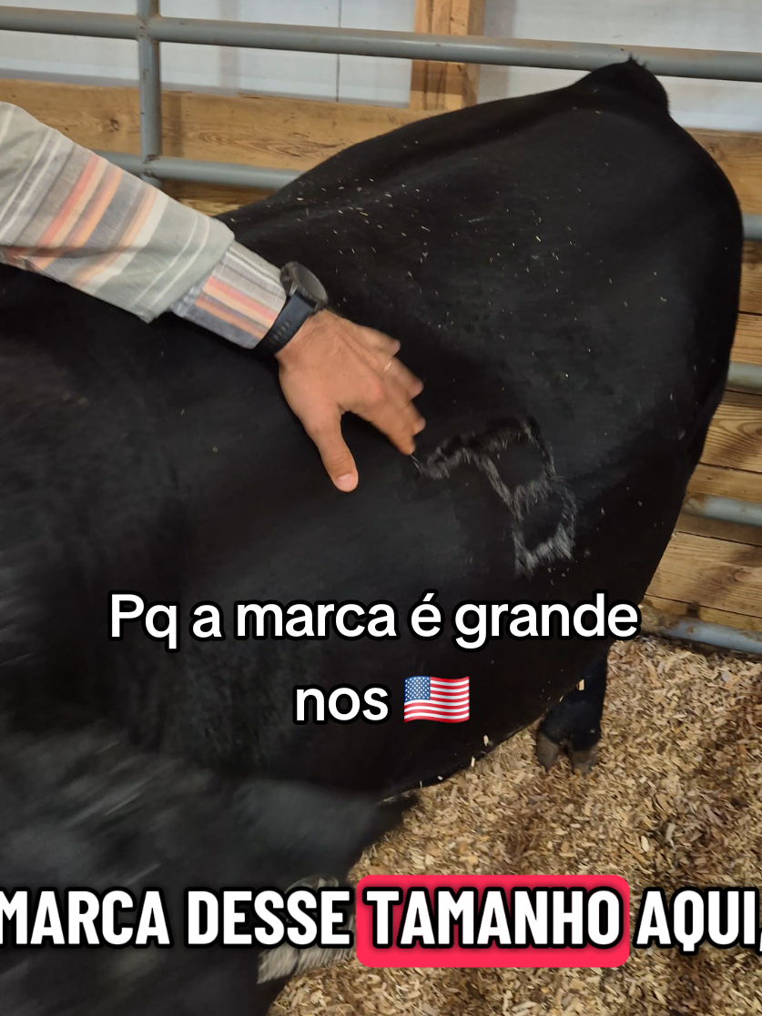 @Olavo Franco Bottino