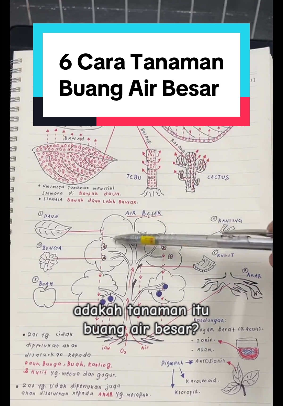 @Izat Aizie
