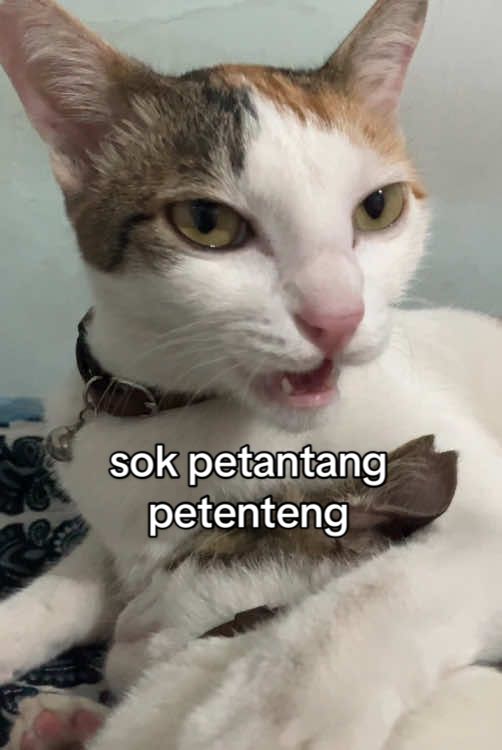 @Keluarga Kebun🍠🥬🥕