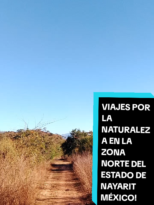 @Eliseo López