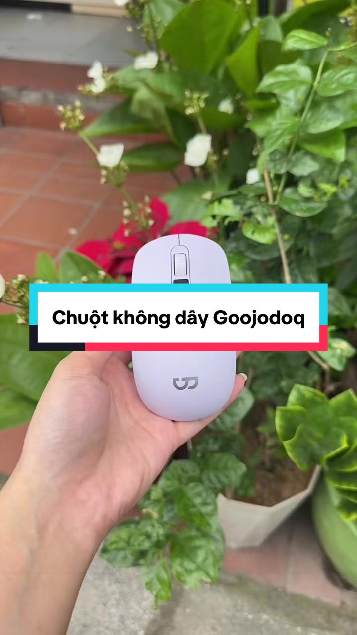 @Tuấn B&igrave;nh Thường
