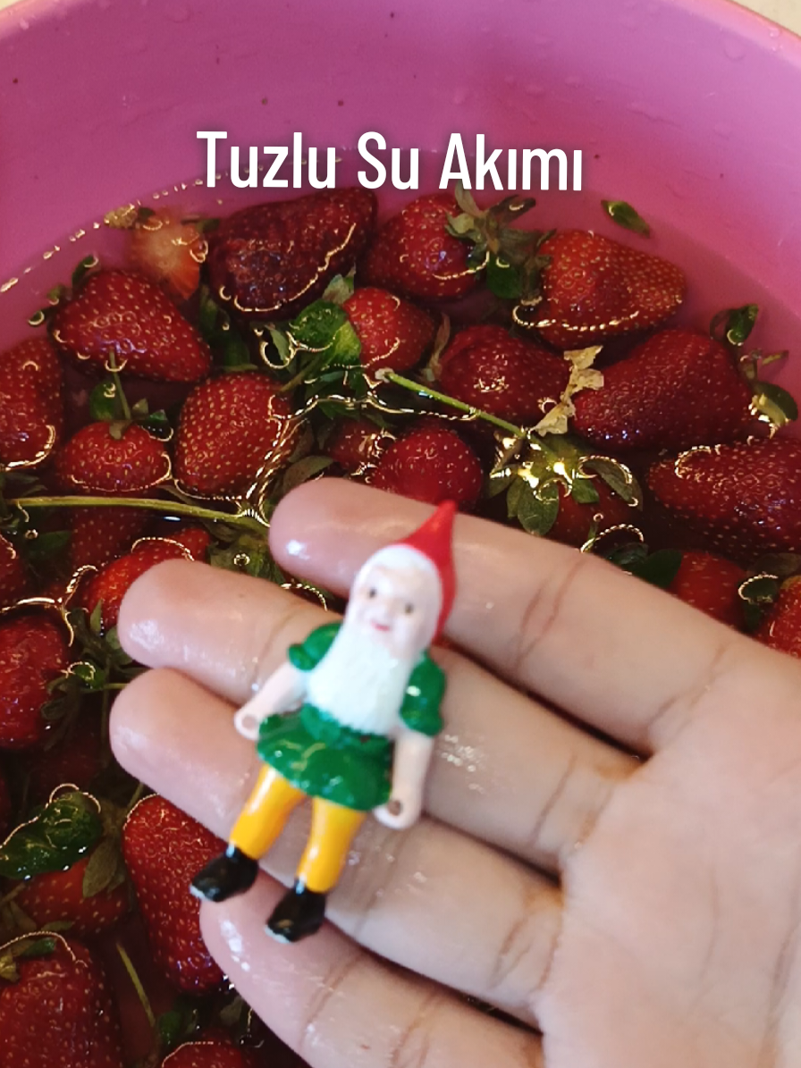 @Furkan Efe Erdur