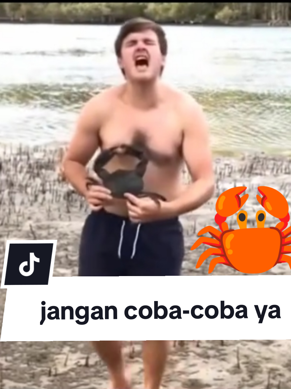 @waroeng.id