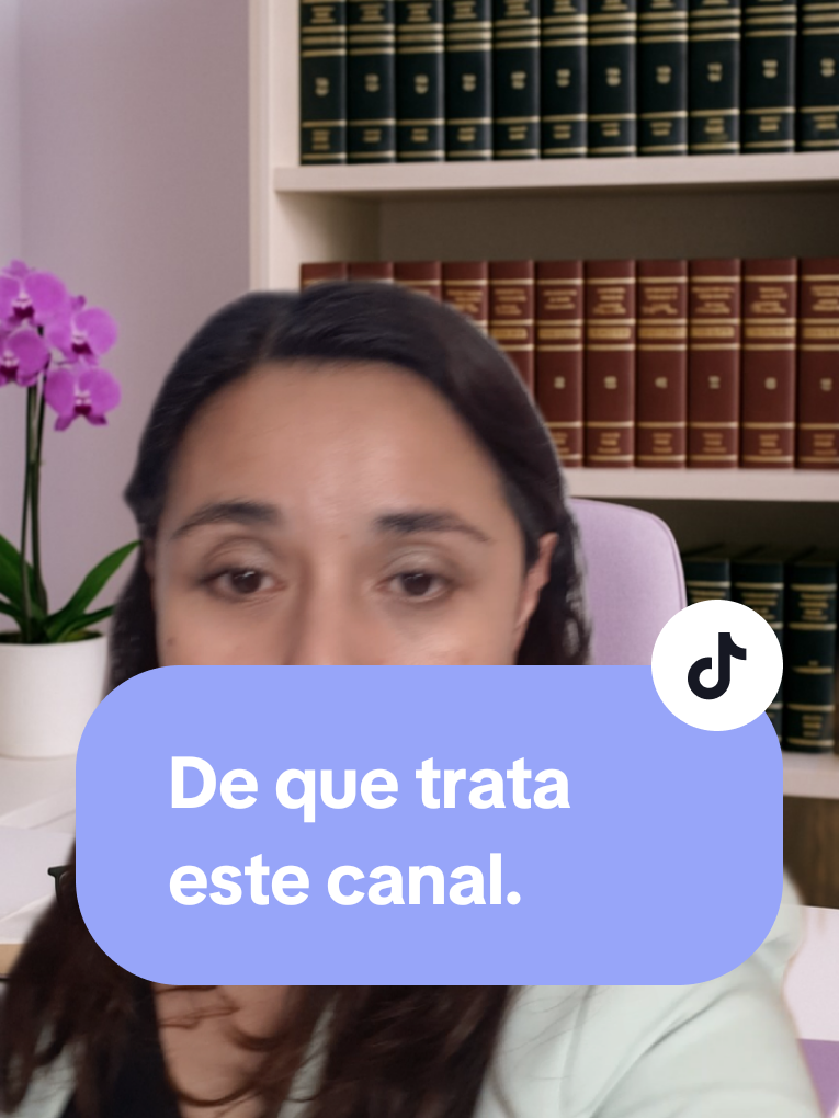 @organizatudivorcio