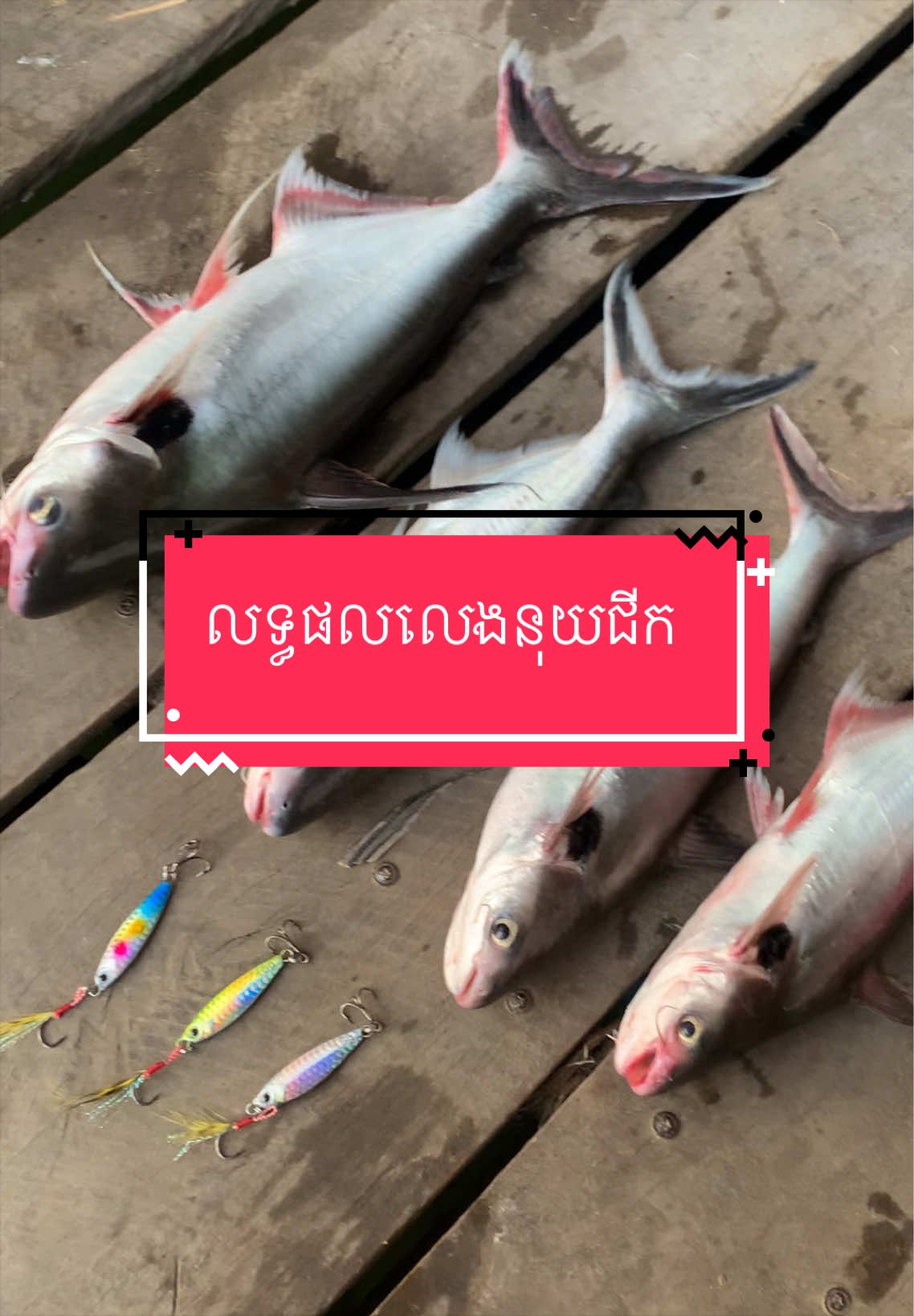 @Dara Fishing(KH)