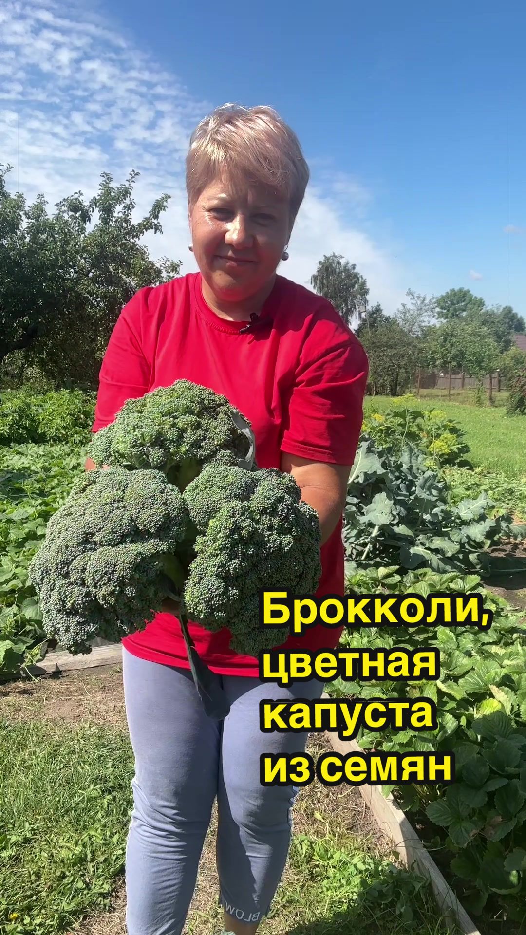 @🌿𝓐𝓷𝓲𝓷𝓪 𝓭𝓪𝓬𝓱𝓪🌿