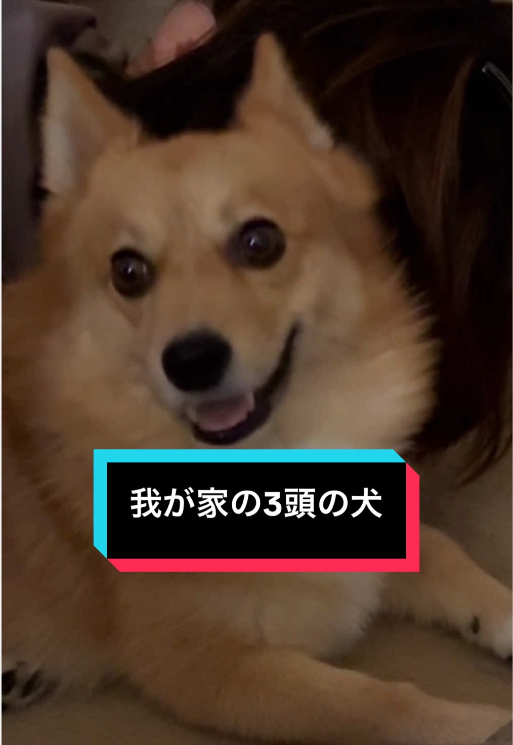 @サクサクビスケット
