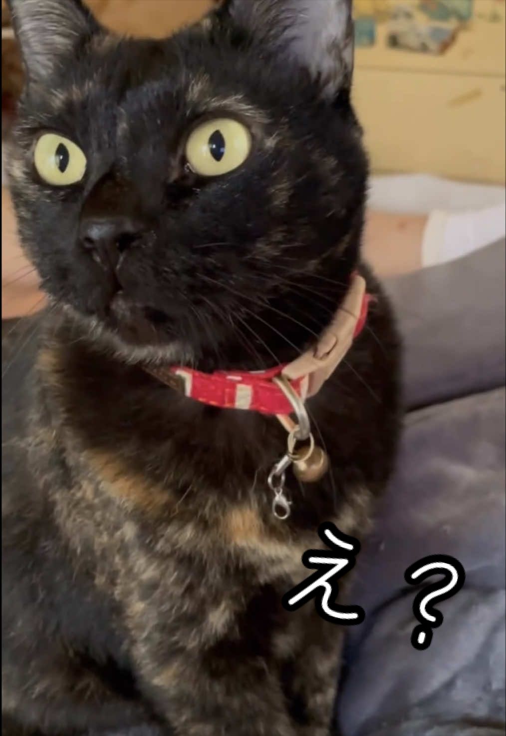 @聴々物語PROJECT