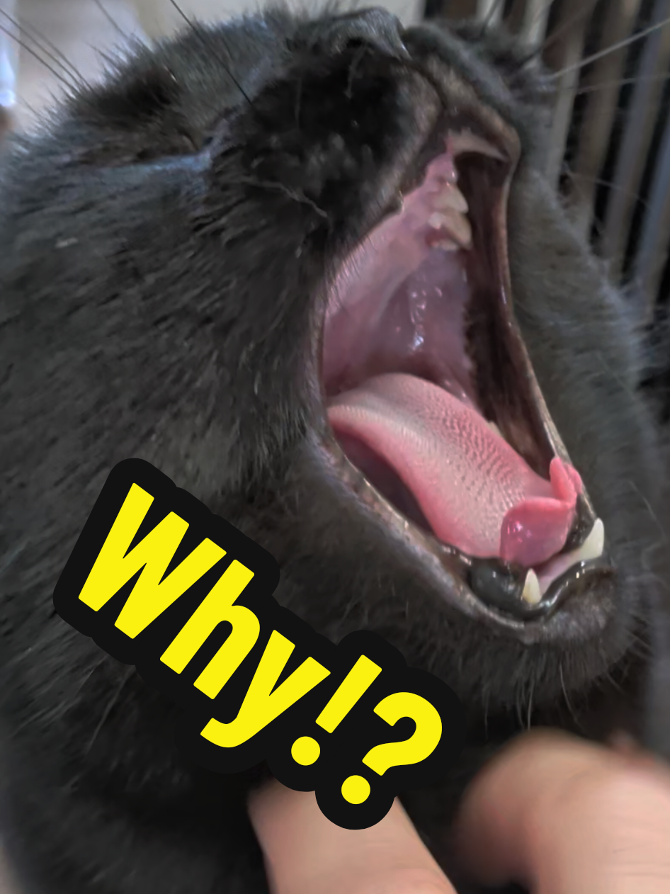 @Ehren Ackerman