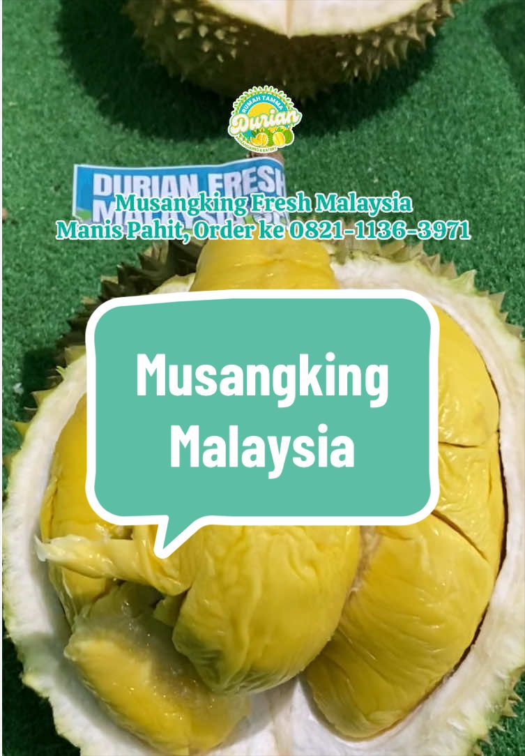 @Rumah Tamma Durian