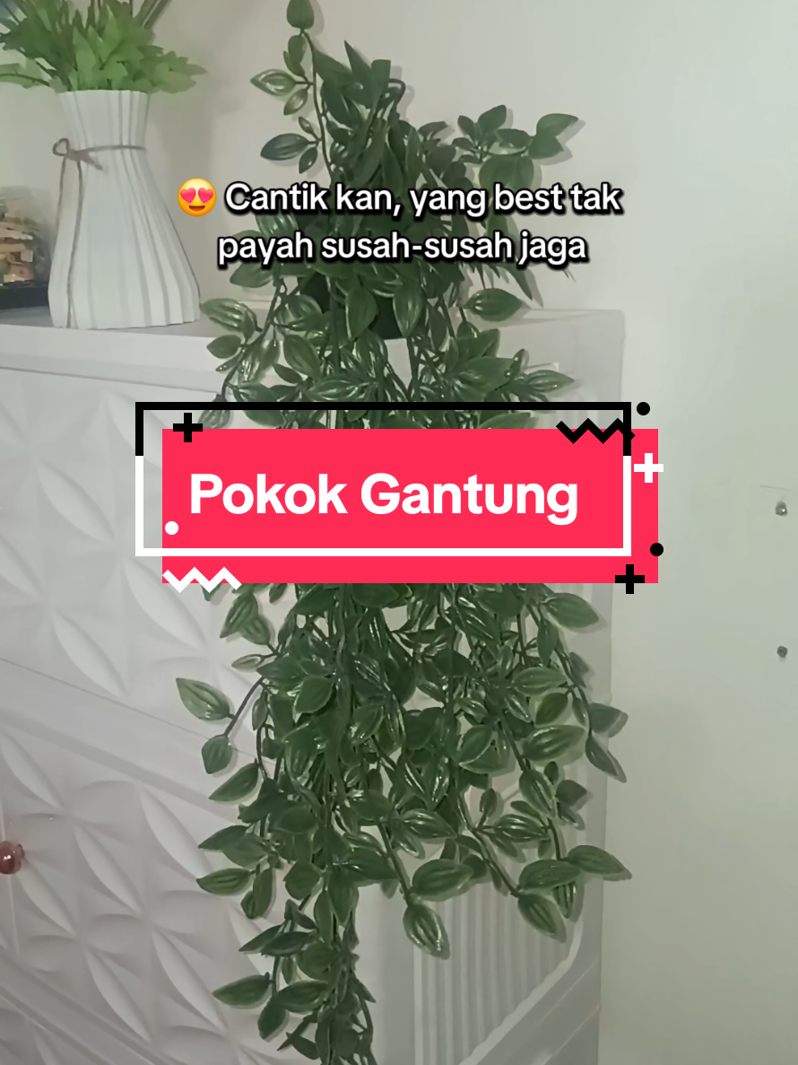 @Lin🌷