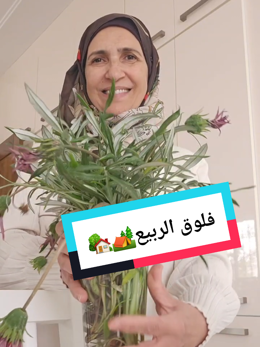 @Thouraya