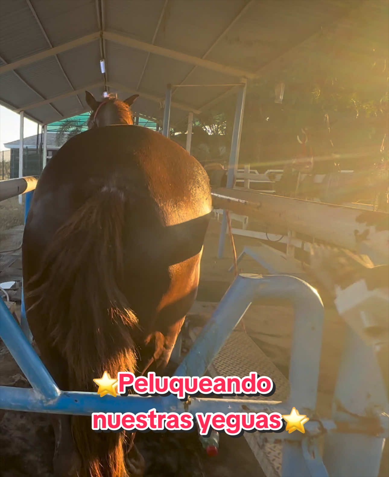 @Yeguada La Familia