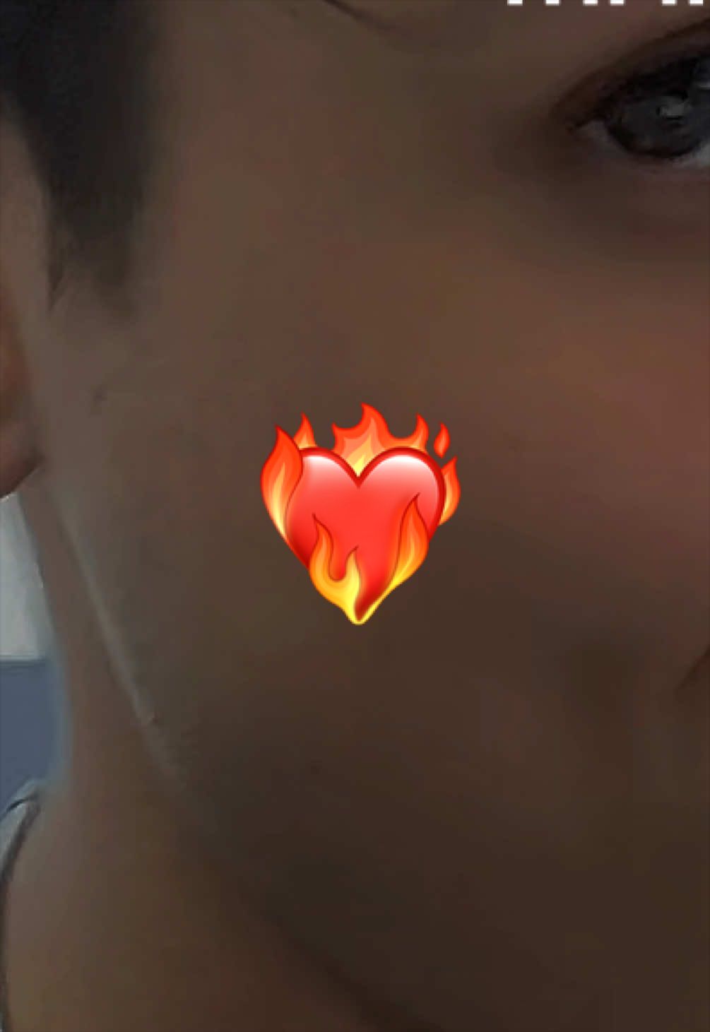 @thisispollo