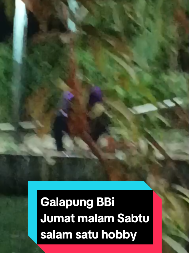 @Kang Mus
