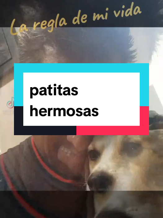@Victor beatback