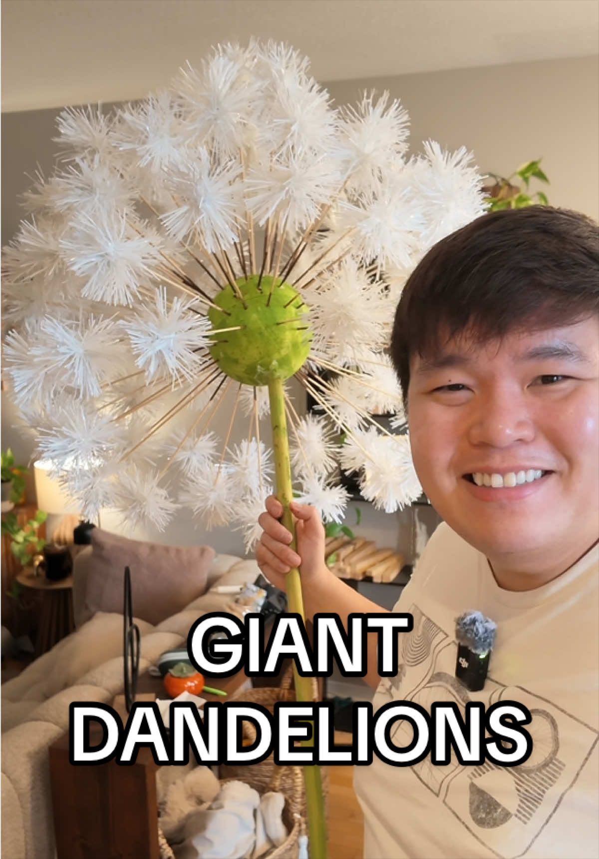 @Angus Nguyen