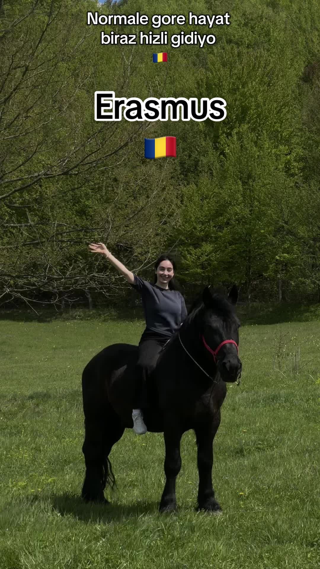@Suedagocer