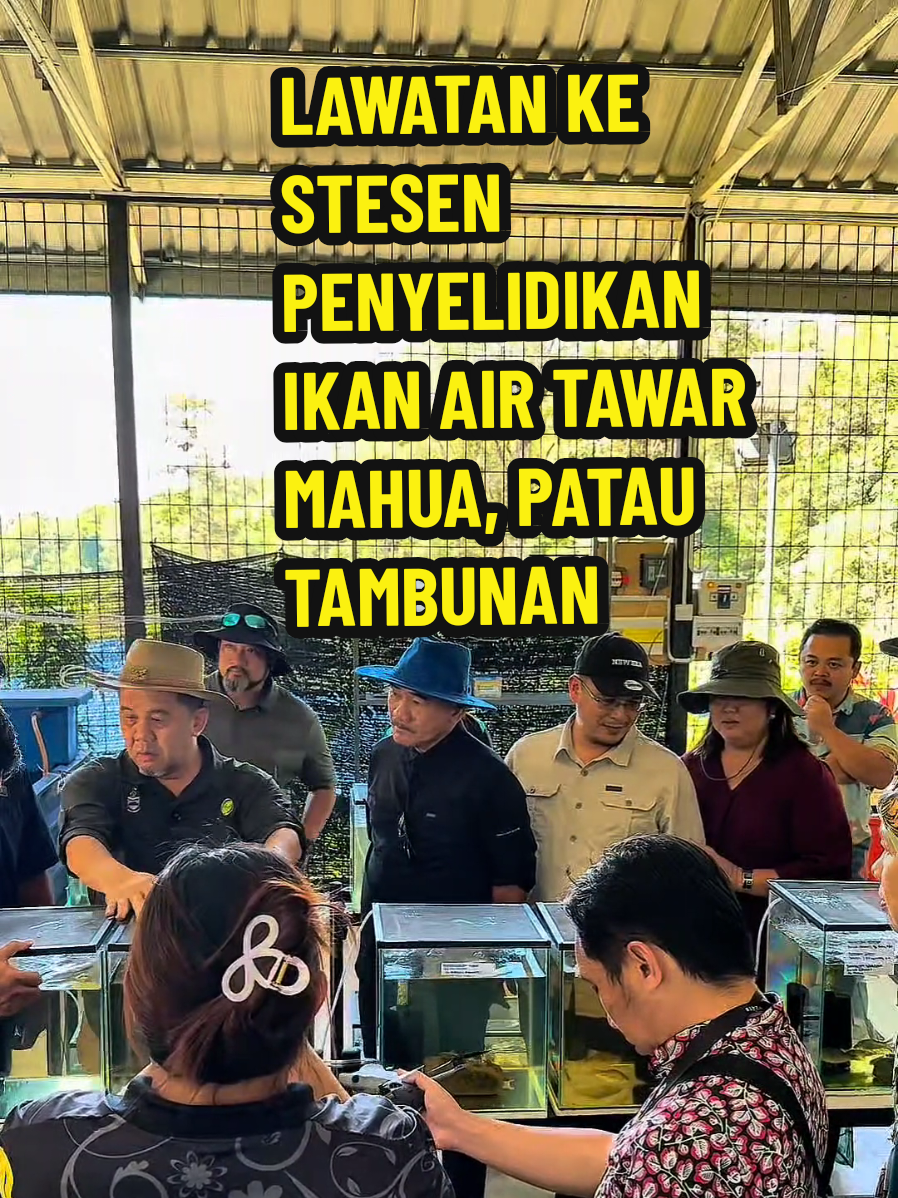 @Jumain Abd Ghani (DJAG)
