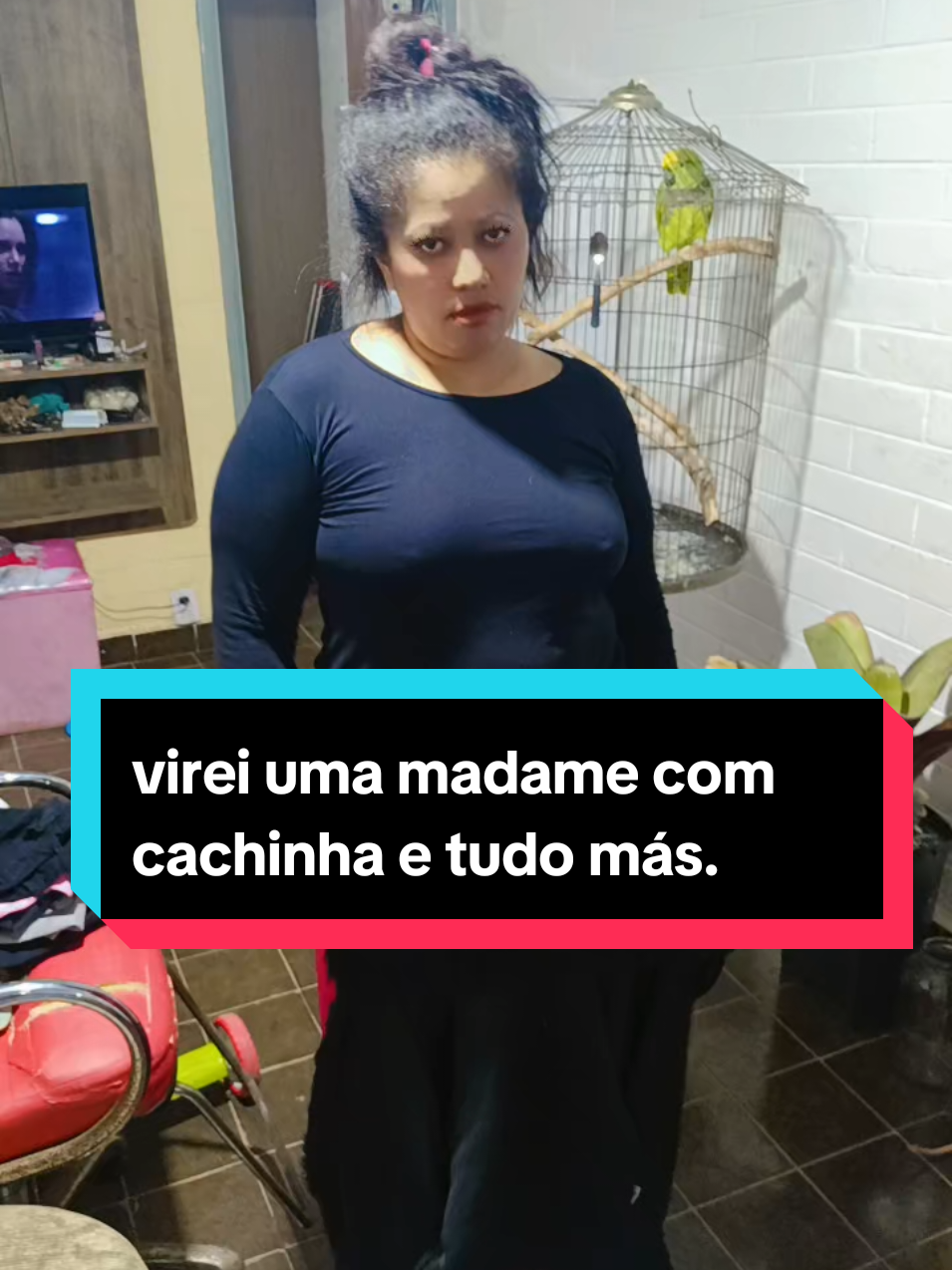 @lu Moreira