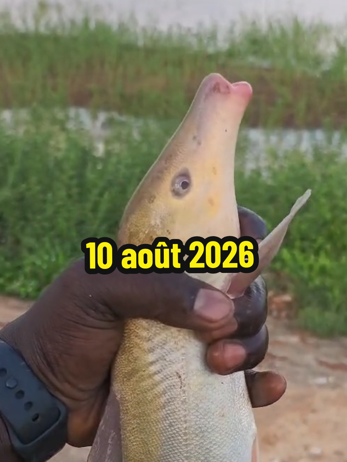 @La pêche par OGE 226